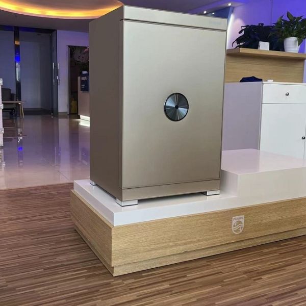 KÉT SẮT THÔNG MINH PHILIPS SBX602 - AN TOÀN VÀ HIỆU QUẢ