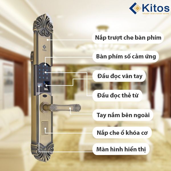 KHÓA CỬA VÂN TAY TÂN CỔ ĐIỂN KITOS KT-C200