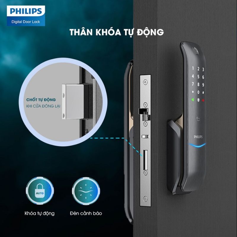 Khoá Cửa Vân Tay Philips 6100