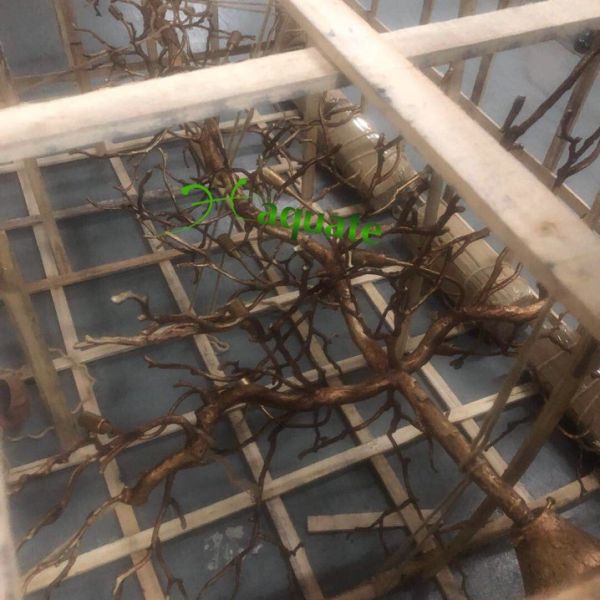 Đèn chùm cây tuyết tan