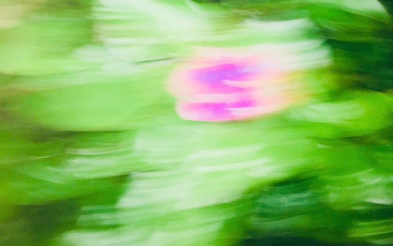 5 Câu Thơ Giúp Mang Lại Sự Cân Bằng Cho Cuộc Sống Của Bạn