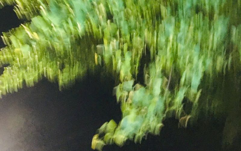 Làm Thế Nào Để Bước Đi Trên Con Đường “Giác Ngộ Hàng Ngày”