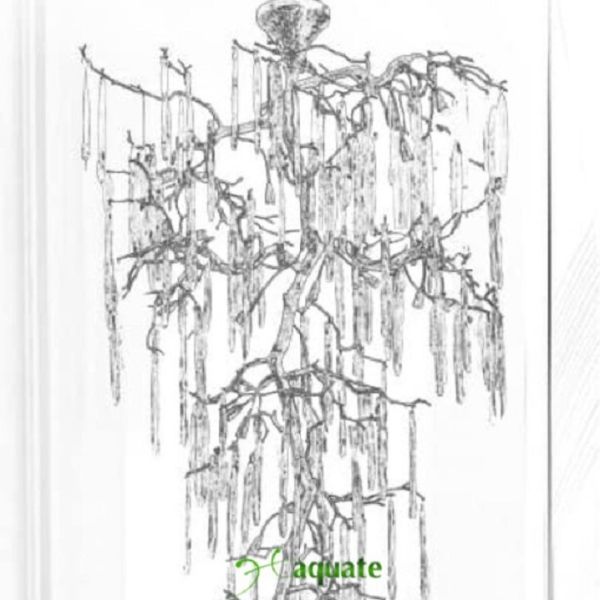 Cây Băng Tuyết CBT-H360