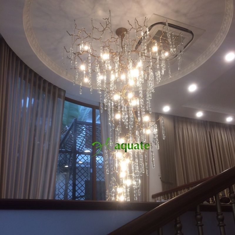 Cây Băng Tuyết CBT-H360