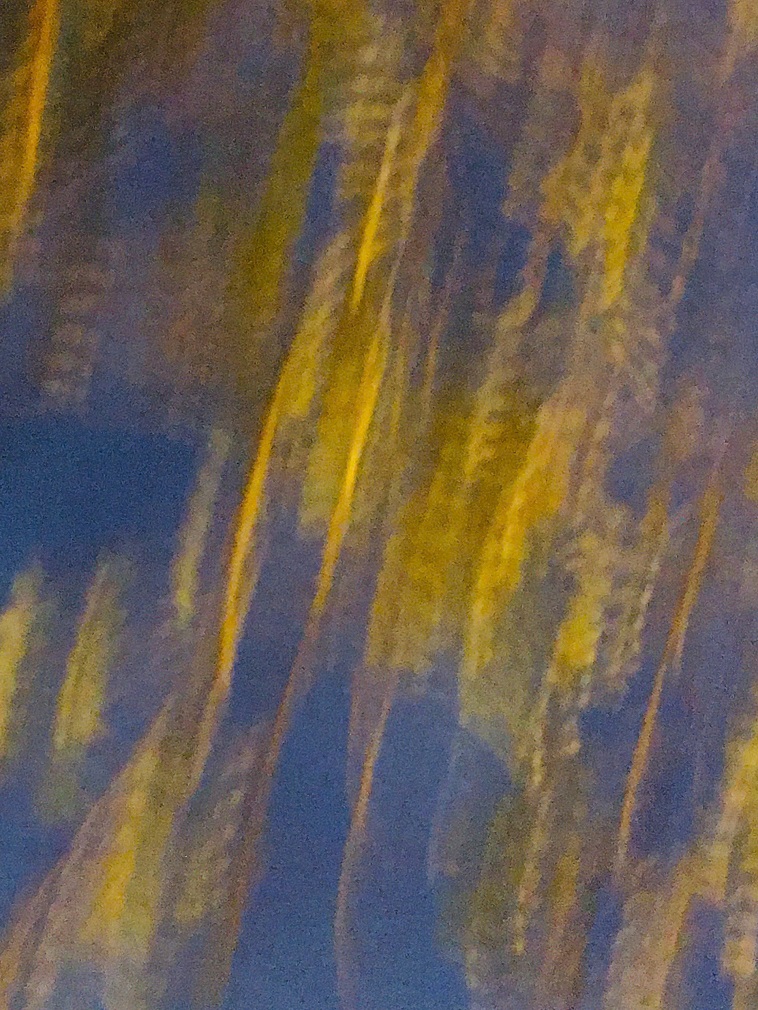 9 Trạng Thái Tâm Trí