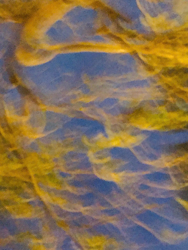 Chín Trạng Thái Tâm Trí Cần Quay Lại Trong Cuộc Sống Thường Nhật